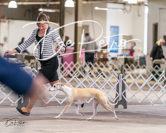 20240331-DSC04168