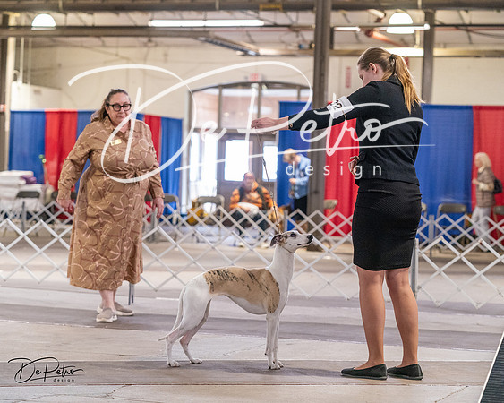 20240331-DSC04187
