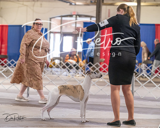 20240331-DSC04189