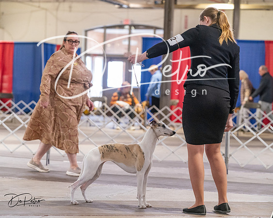 20240331-DSC04191