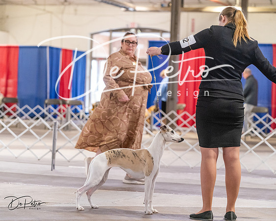 20240331-DSC04198