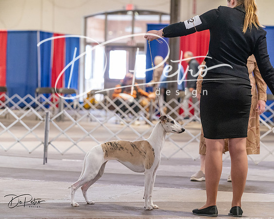 20240331-DSC04202