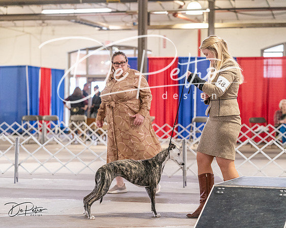 20240331-DSC04237
