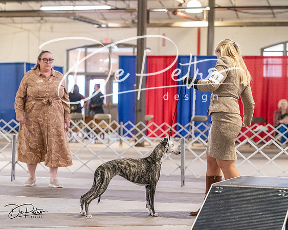 20240331-DSC04255