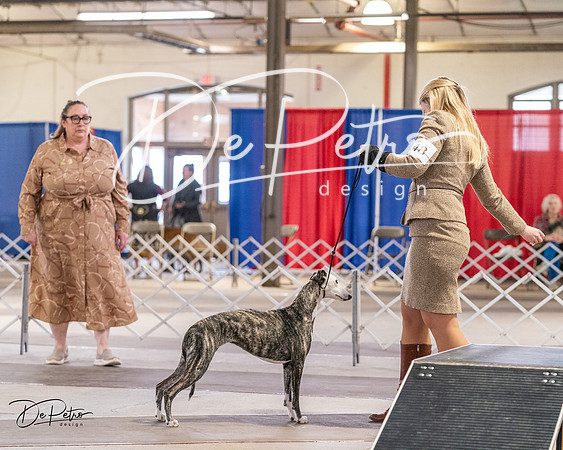 20240331-DSC04258