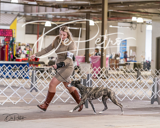 20240331-DSC04288
