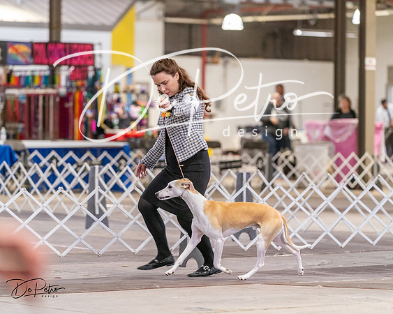 20240331-DSC04311