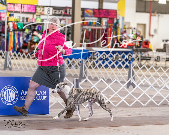 20240331-DSC04328