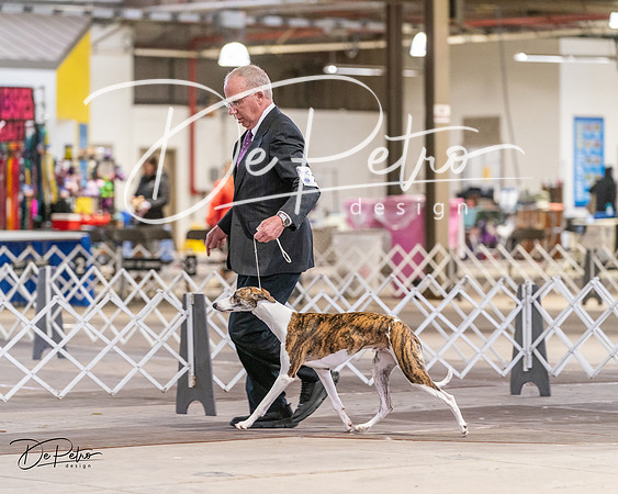20240331-DSC03111