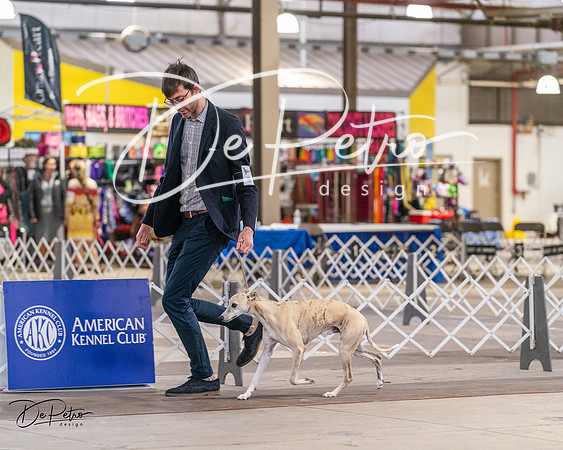 20240331-DSC03274