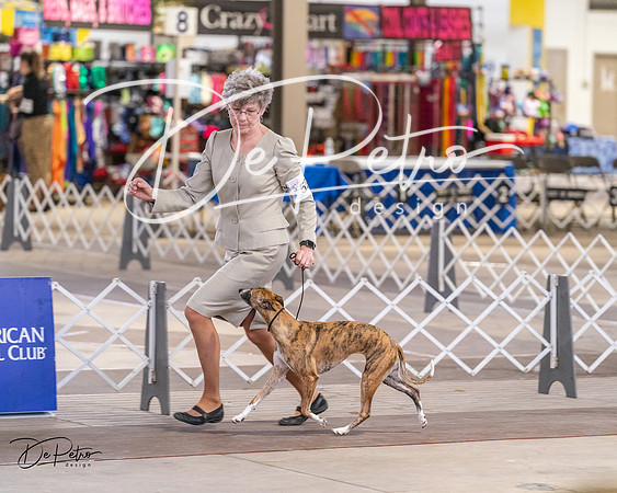 20240331-DSC03757