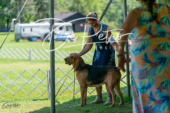 20240630-DSC01916