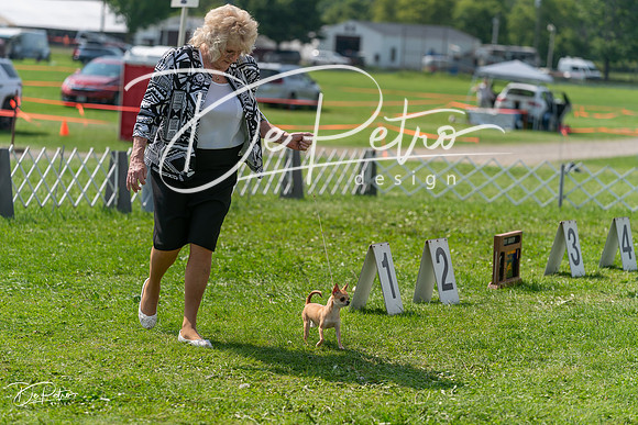 20240816-DSC00371