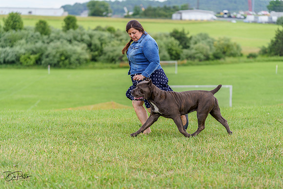 20220611-DSC02374