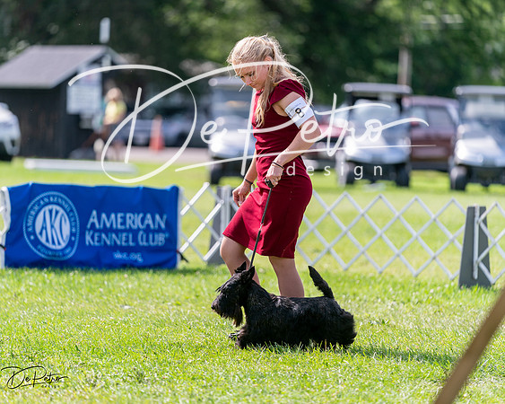20240630-DSC03645