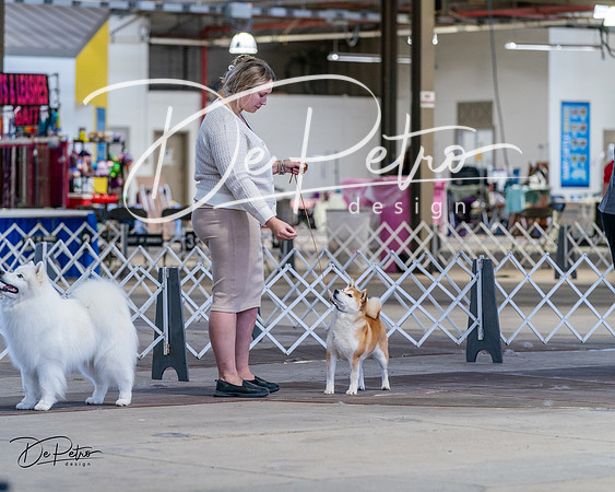 20240331-DSC04424
