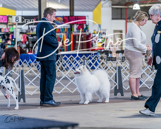 20240331-DSC04423