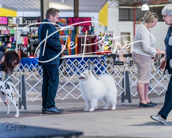 20240331-DSC04422