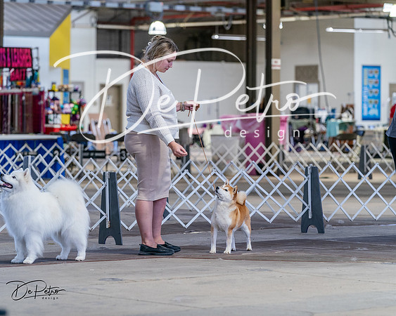 20240331-DSC04425