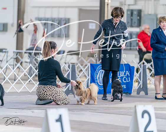 20240331-DSC04431