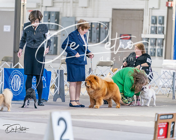 20240331-DSC04441
