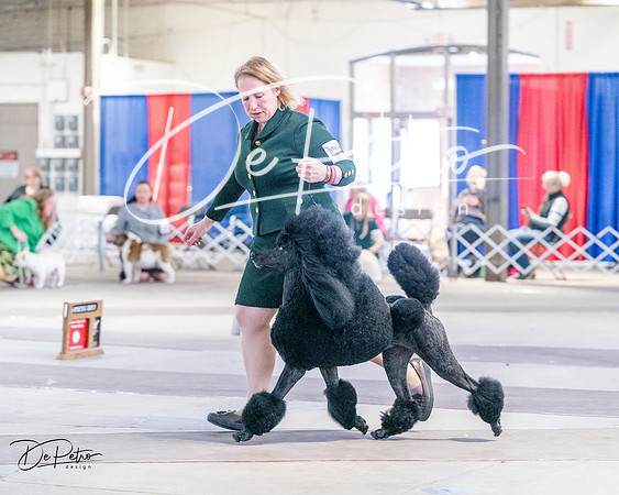 20240331-DSC04447