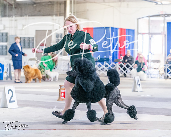 20240331-DSC04452