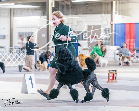 20240331-DSC04460