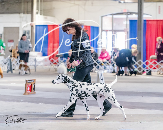 20240331-DSC04488