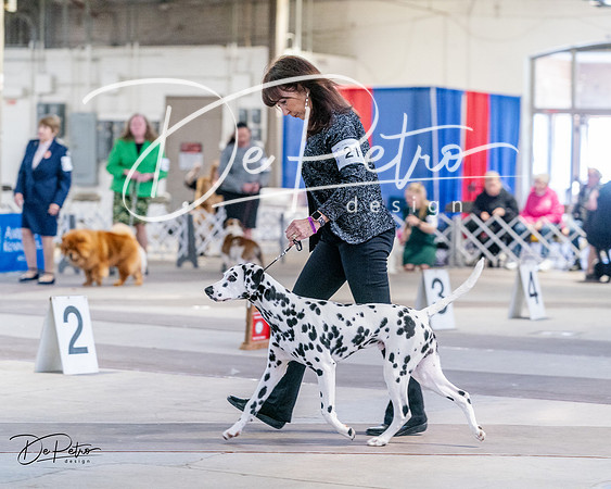 20240331-DSC04494