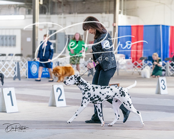 20240331-DSC04499