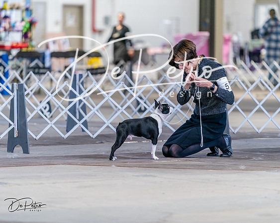20240331-DSC04534