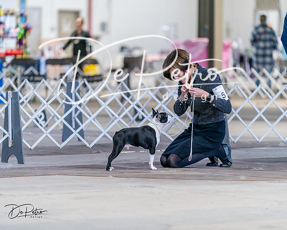 20240331-DSC04536