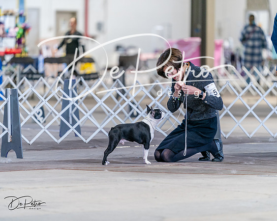 20240331-DSC04537