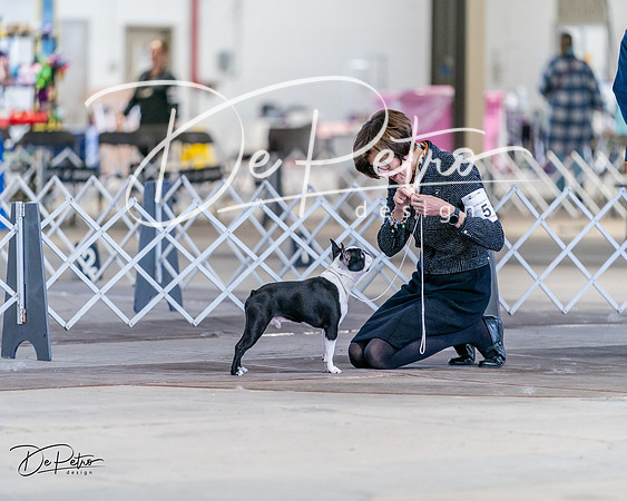 20240331-DSC04538