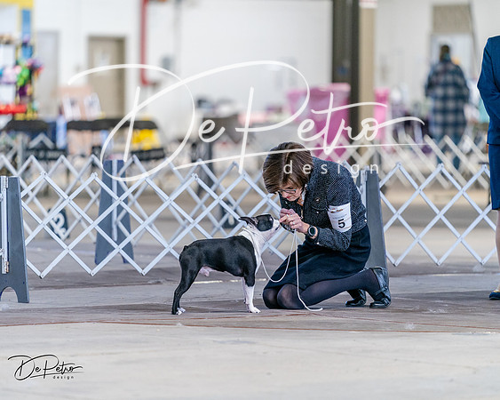 20240331-DSC04543