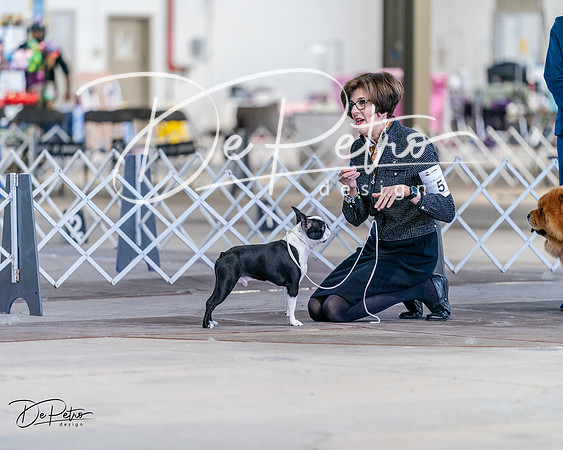 20240331-DSC04556
