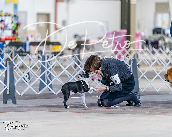 20240331-DSC04564