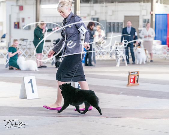 20240331-DSC04585
