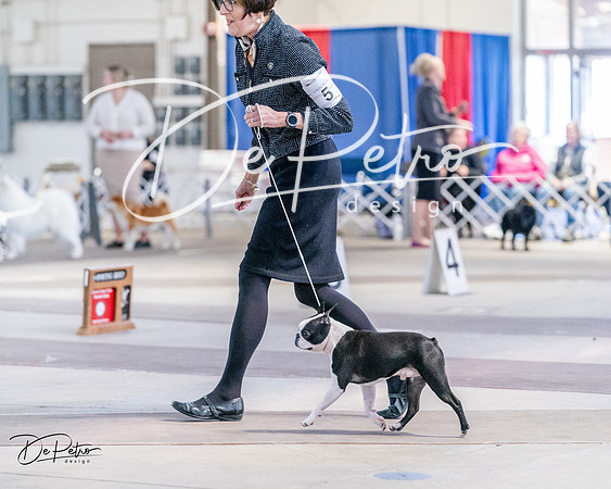 20240331-DSC04644