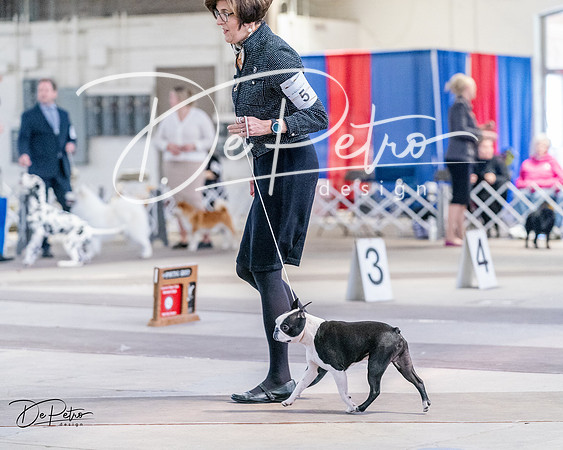 20240331-DSC04647
