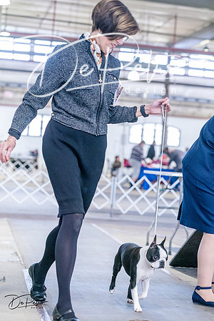 20240331-DSC04726