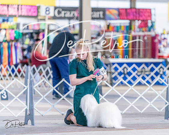 20240331-DSC04763