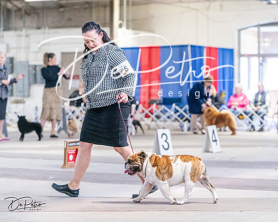 20240331-DSC04776