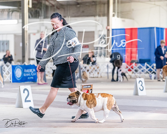 20240331-DSC04784