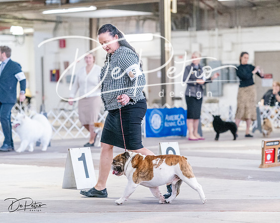 20240331-DSC04796