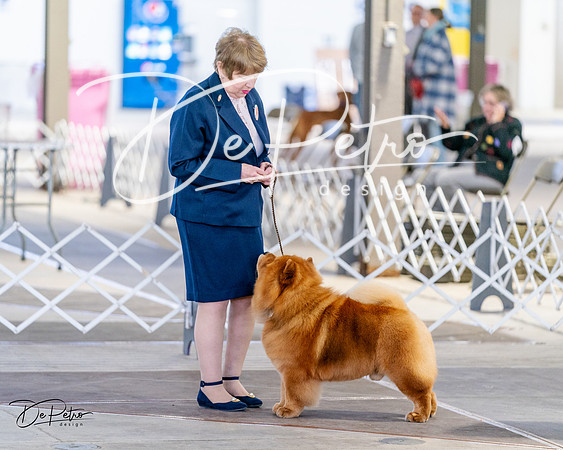 20240331-DSC04816