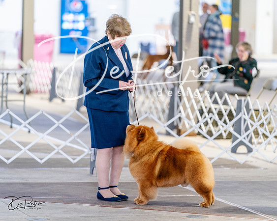 20240331-DSC04818