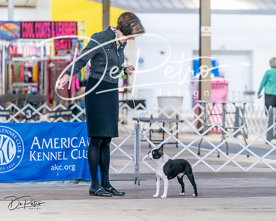 20240331-DSC04819