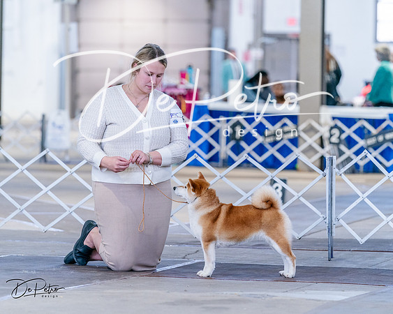 20240331-DSC04828